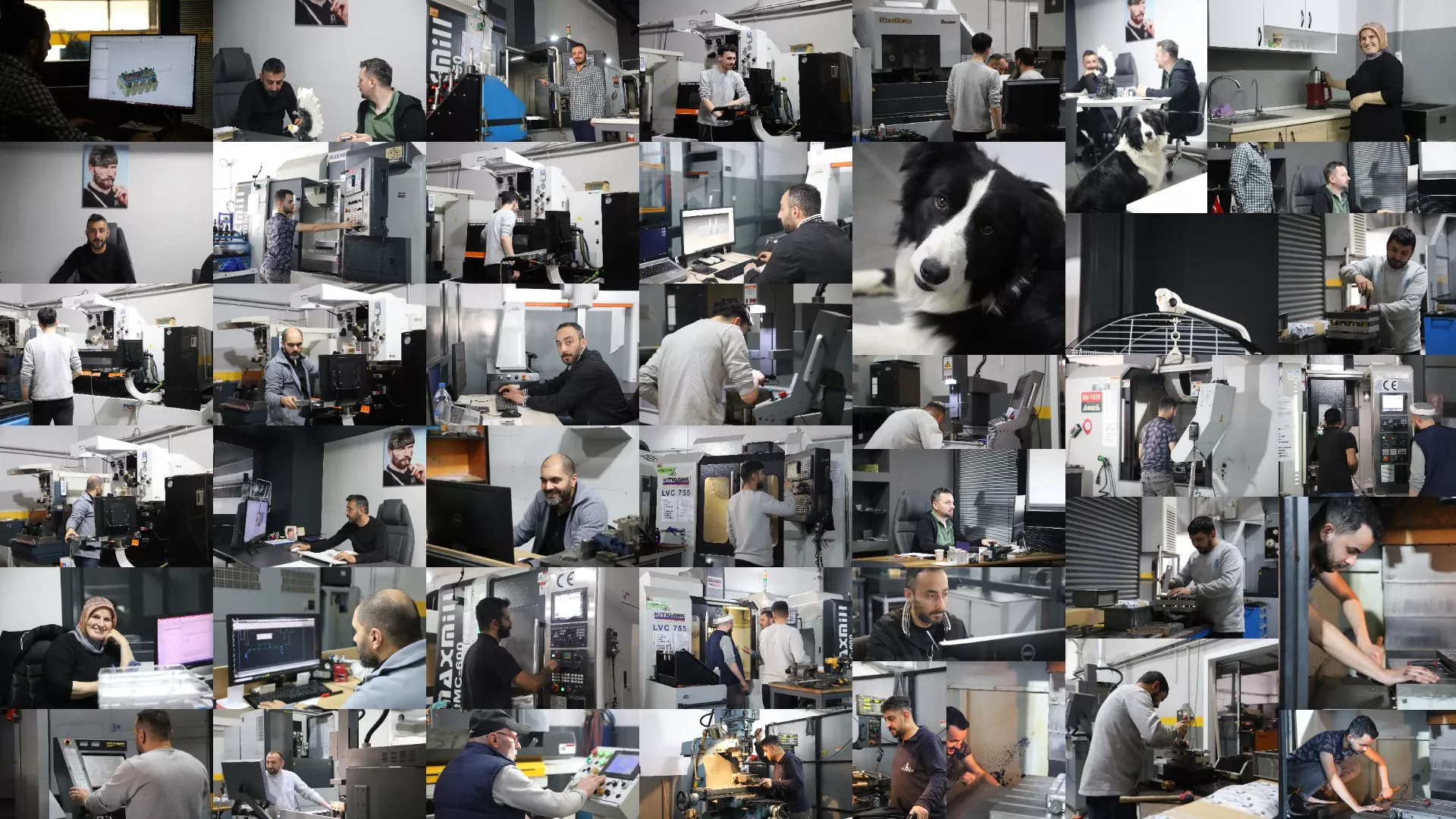 Our Team